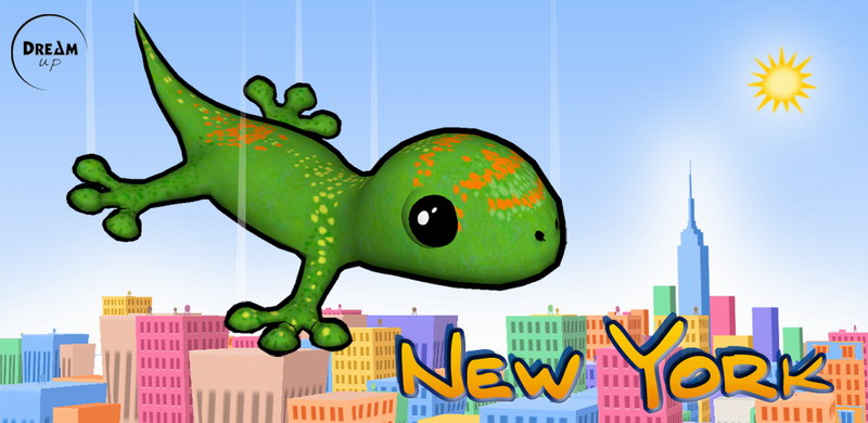 Acrobat Gecko New York